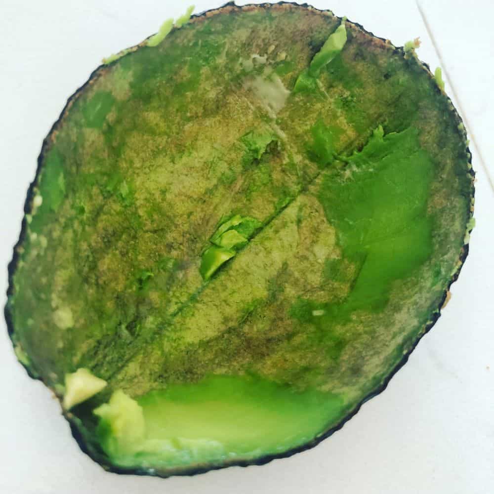 Avocado
