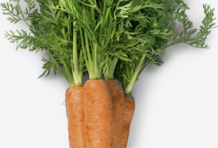 Fresh carrots